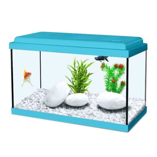 aquarium aqua nanolife kidz 50 bleu